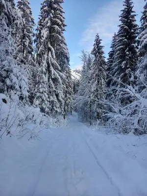 Ferienwohnung Seifert im Winter