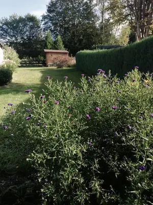 Ein Garten an der Unterkunft Augl Bischofsgrün