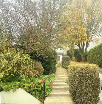 Ein Garten an der Unterkunft Berghaus
