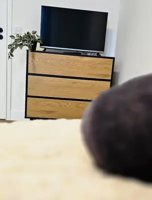 TV/Unterhaltungsangebot in der Unterkunft Lace Apartments Stilvoll in der Spitzenstadt Plauen