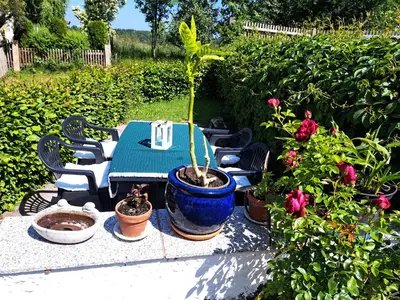 Ein Garten an der Unterkunft Fewo Gerti
