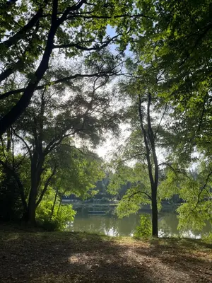 Grundriss der Unterkunft Haus am See