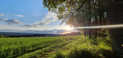 Naturlandschaft in der Nähe der Ferienwohnung