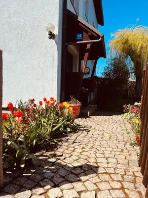Ein Garten an der Unterkunft Ferienwohnung Schaller