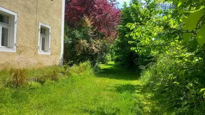 Ein Garten an der Unterkunft Design Apartment In The Historic Mittermurnthal