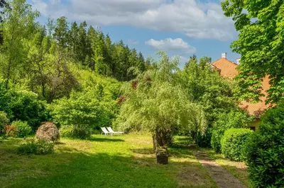 Ein Garten an der Unterkunft Minimalist Style Apartment In Upper Palatinate