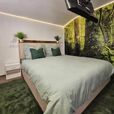 Ein Bett oder Betten in einem Zimmer der Unterkunft Grünhäuschen im Erzgebirge, 620 m üdM