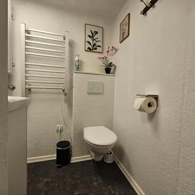 Ein Badezimmer in der Unterkunft Grünhäuschen im Erzgebirge, 620 m üdM