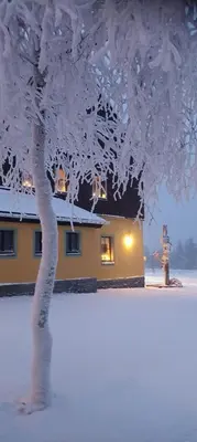 Berggasthof Neues Haus im Winter