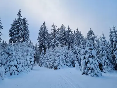 Fewo Fichtelflair im Winter