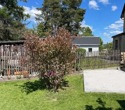 Ein Garten an der Unterkunft Ferienwohnungen Goldhahn