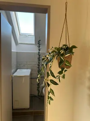 Ein Badezimmer in der Unterkunft Ferienwohnung Kunterbunt