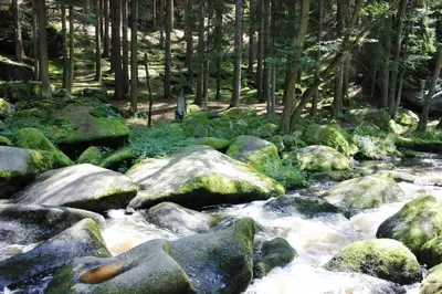 Naturlandschaft in der Nähe des Hotels