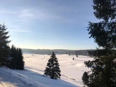 Naturlandschaft in der Nähe der Ferienwohnung
