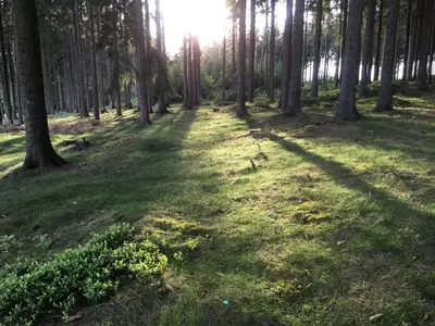 Naturlandschaft in der Nähe der Ferienwohnung