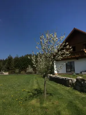 Ein Garten an der Unterkunft Ferienhaus zur Thusstrasse