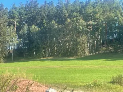Naturlandschaft in der Nähe des Ferienhauses