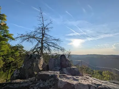 Naturlandschaft in der Nähe der Ferienwohnung