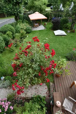 Ein Garten an der Unterkunft Ferienwohnung am Wasserschloss