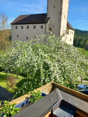Ein Garten an der Unterkunft Sylvias Burgblick