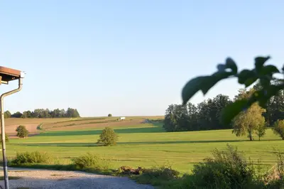 Naturlandschaft in der Nähe des Ferienhauses