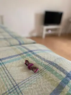 Ein Bett oder Betten in einem Zimmer der Unterkunft Ferienwohnung direkt am Goldberg in Selb
