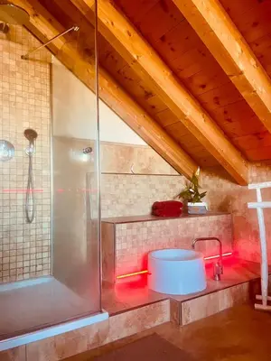 Ein Badezimmer in der Unterkunft LaDolceVital im Tiroler Holzhaus
