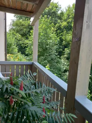 Ein Garten an der Unterkunft Goldsteig 1 - Einzelzimmer