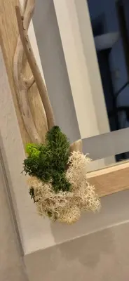 Grundriss der Unterkunft Green Home