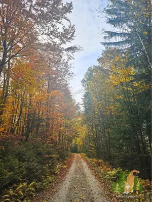 Naturlandschaft in der Nähe der Ferienwohnung