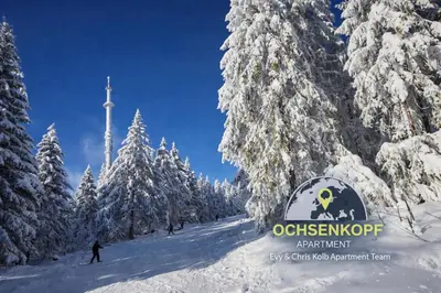 Ochsenkopf-apartment im Winter