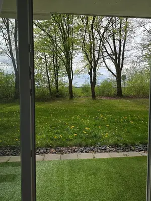 Ein Garten an der Unterkunft Elahs Nod