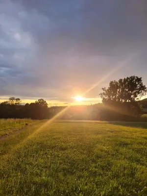 Blick auf den Sonnenuntergang/Sonnenaufgang von des Campingplatzes aus oder aus der Nähe