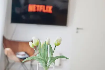 TV/Unterhaltungsangebot in der Unterkunft Garden Luxus Apartment