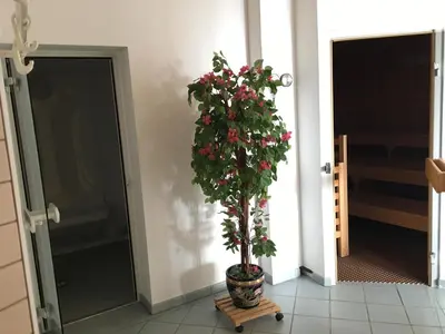 Grundriss der Unterkunft Ferienappartements Rausch