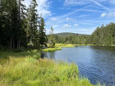 Naturlandschaft in der Nähe der Ferienwohnung