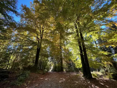 Naturlandschaft in der Nähe der Ferienwohnung