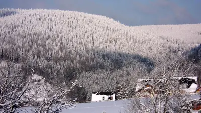 Ferienwohnung Riedl im Winter