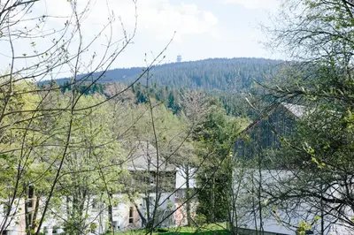 Naturlandschaft in der Nähe der Ferienwohnung