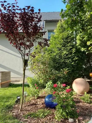 Ein Garten an der Unterkunft Ferienwohnung Reinhold