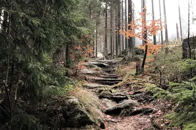 Naturlandschaft in der Nähe der Ferienwohnung