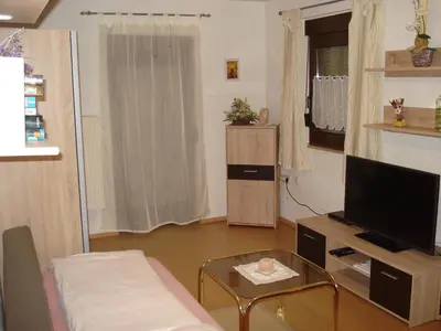 TV/Unterhaltungsangebot in der Unterkunft Haus Steinwaldblick