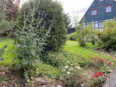 Ein Garten an der Unterkunft Ferienwohnung Kelch