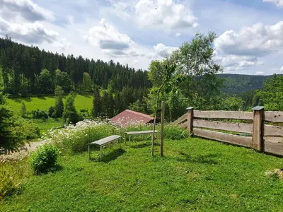Naturlandschaft in der Nähe des Ferienhauses