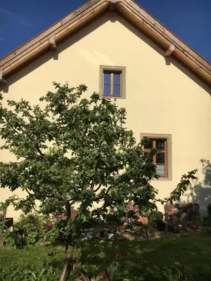 Ein Garten an der Unterkunft Ferienhaus Mitterauerbach - Altes Mesnerhaus