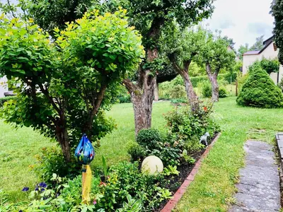 Ein Garten an der Unterkunft Ferienwohnung Nähe Festspielhaus
