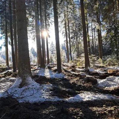Naturlandschaft in der Nähe der Ferienwohnung