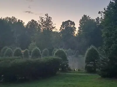 Naturlandschaft in der Nähe der Ferienwohnung