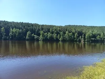 Naturlandschaft in der Nähe des Ferienhauses
