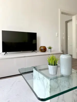TV/Unterhaltungsangebot in der Unterkunft Wagner Suite Bayreuth Ideal für Festspielgäste